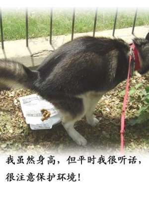 һʵˣ